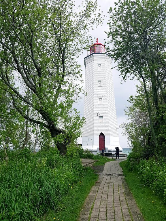 Beginner Tips for Taking Better Phone Photos You’ll Love